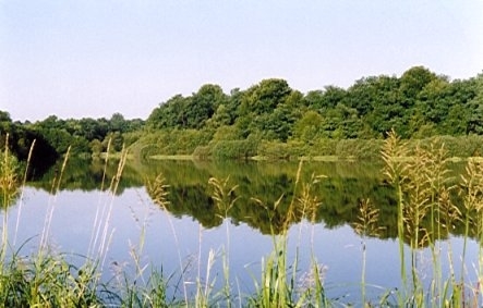 Etang des Cratsch